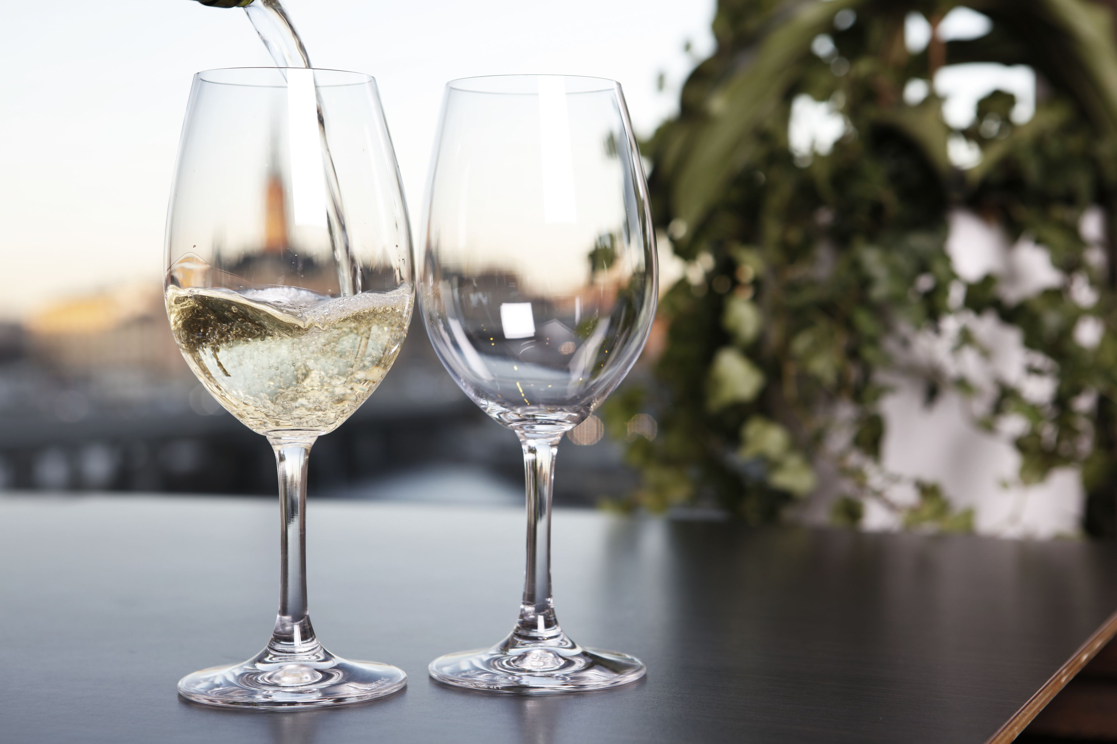 Two wine glasses on a table with a blurred background of greenery and a building.
