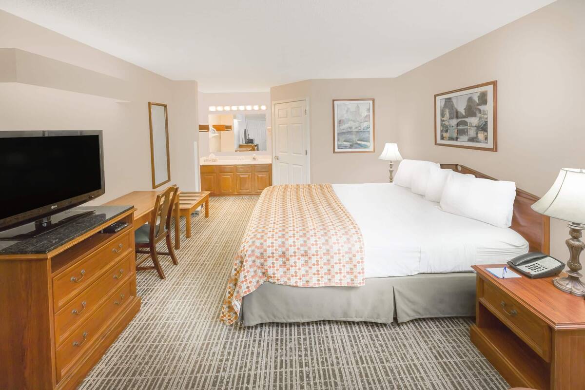 A hotel room with a bed, a desk with a TV, a chair, a dresser, and a nightstand with a lamp.