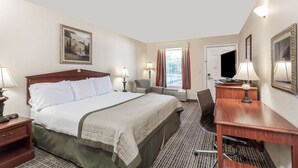 Una habitación de hotel con una cama grande, un escritorio, una silla y un televisor.
