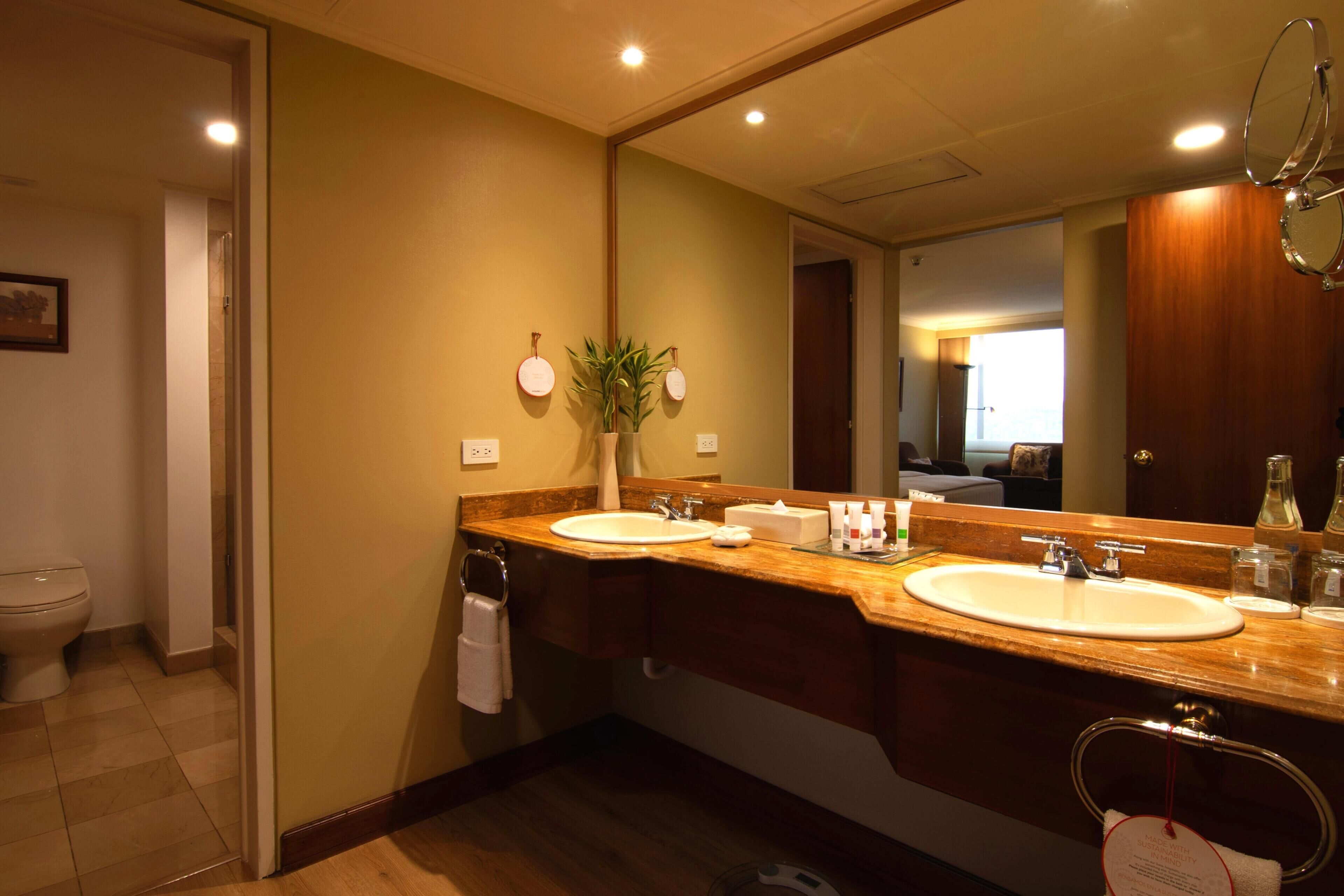 Un baño de hotel con dos lavamanos, un espejo grande y una planta en maceta.