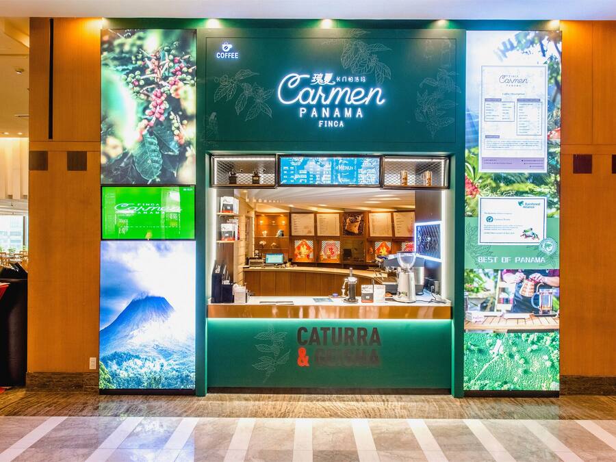 A hotel lobby with a green reception desk labeled "Carmen Panama Finca" and "Caturra & Geisha" coffee.