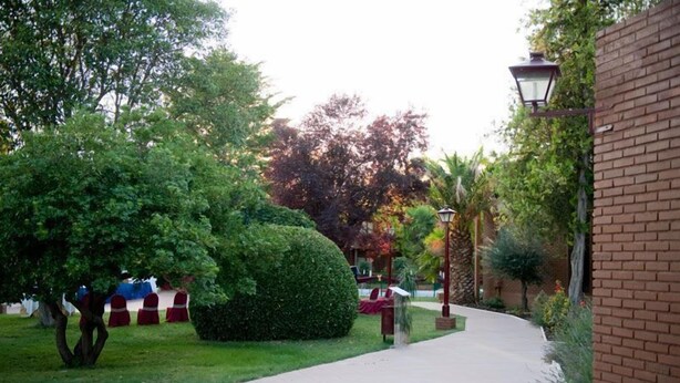 A paved pathway in a landscaped garden area with neatly trimmed hedges and trees. - Hotel El Hidalgo (Valdepenas)