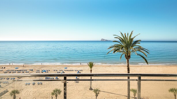 A beach view from a balcony with a palm tree, beach chairs, and umbrellas. - INNSiDE by Meliá Costablanca - Adults recommended (Benidorm)