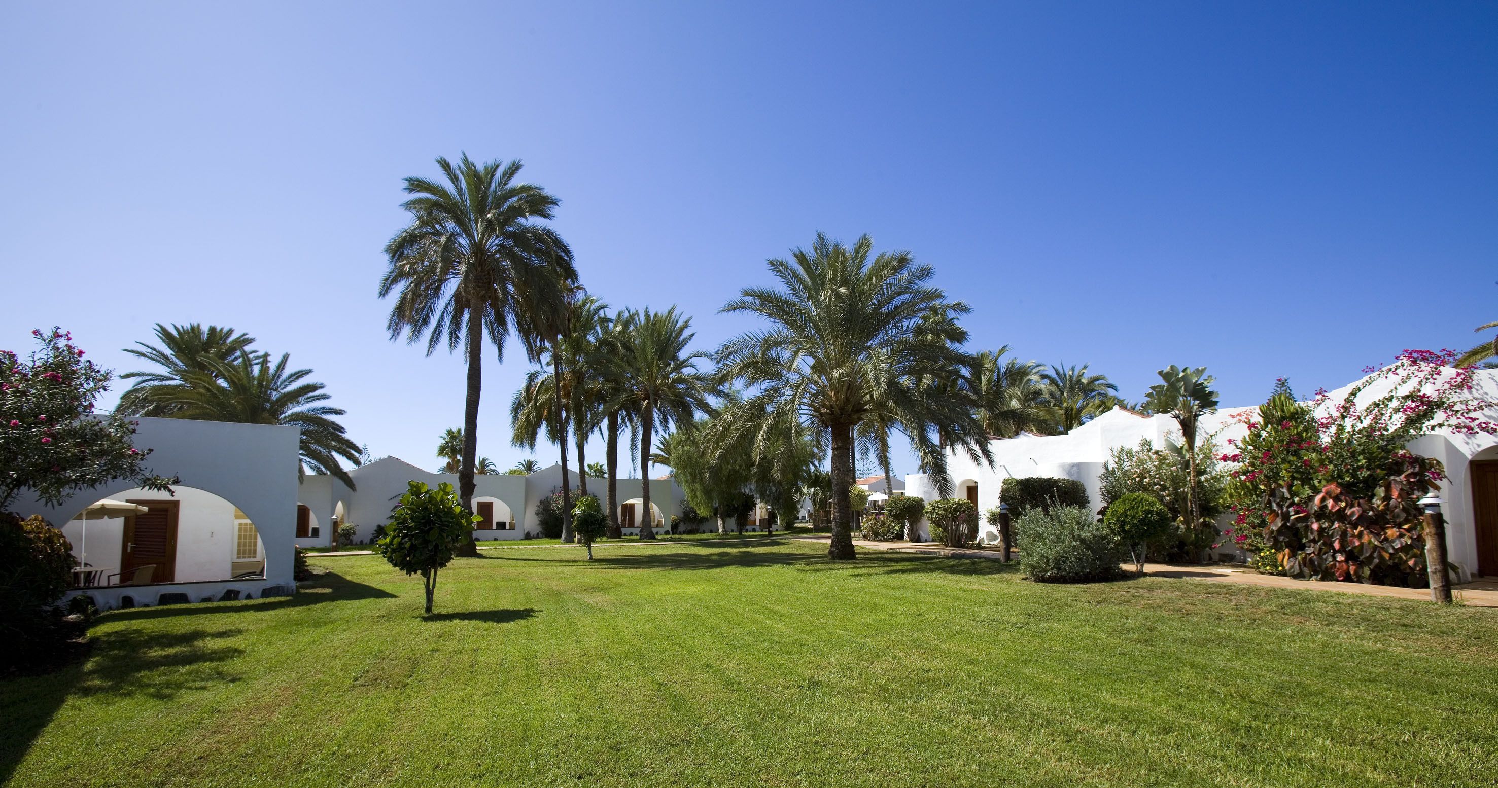 A courtyard with palm trees, white buildings, and a well-maintained lawn.