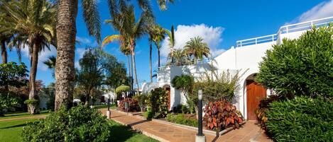 A well-maintained garden with palm trees and a pathway leading to a white building with a wooden door.