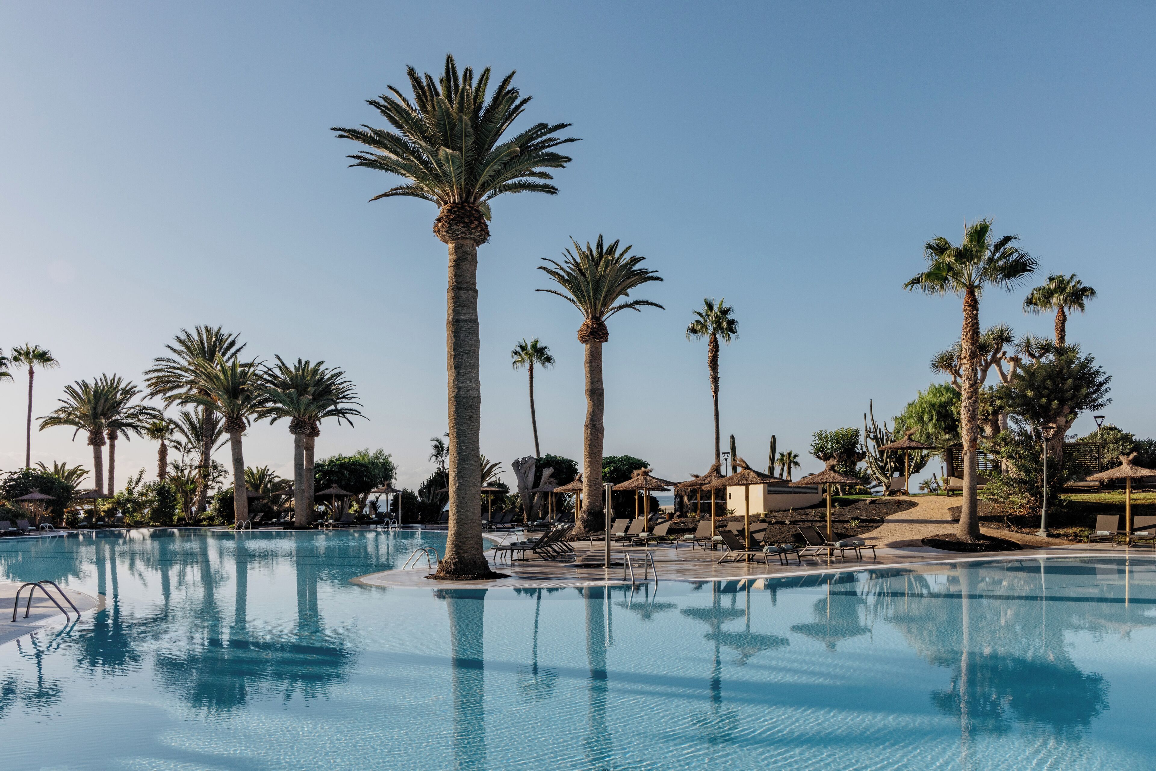 A pool surrounded by palm trees and lounge chairs.