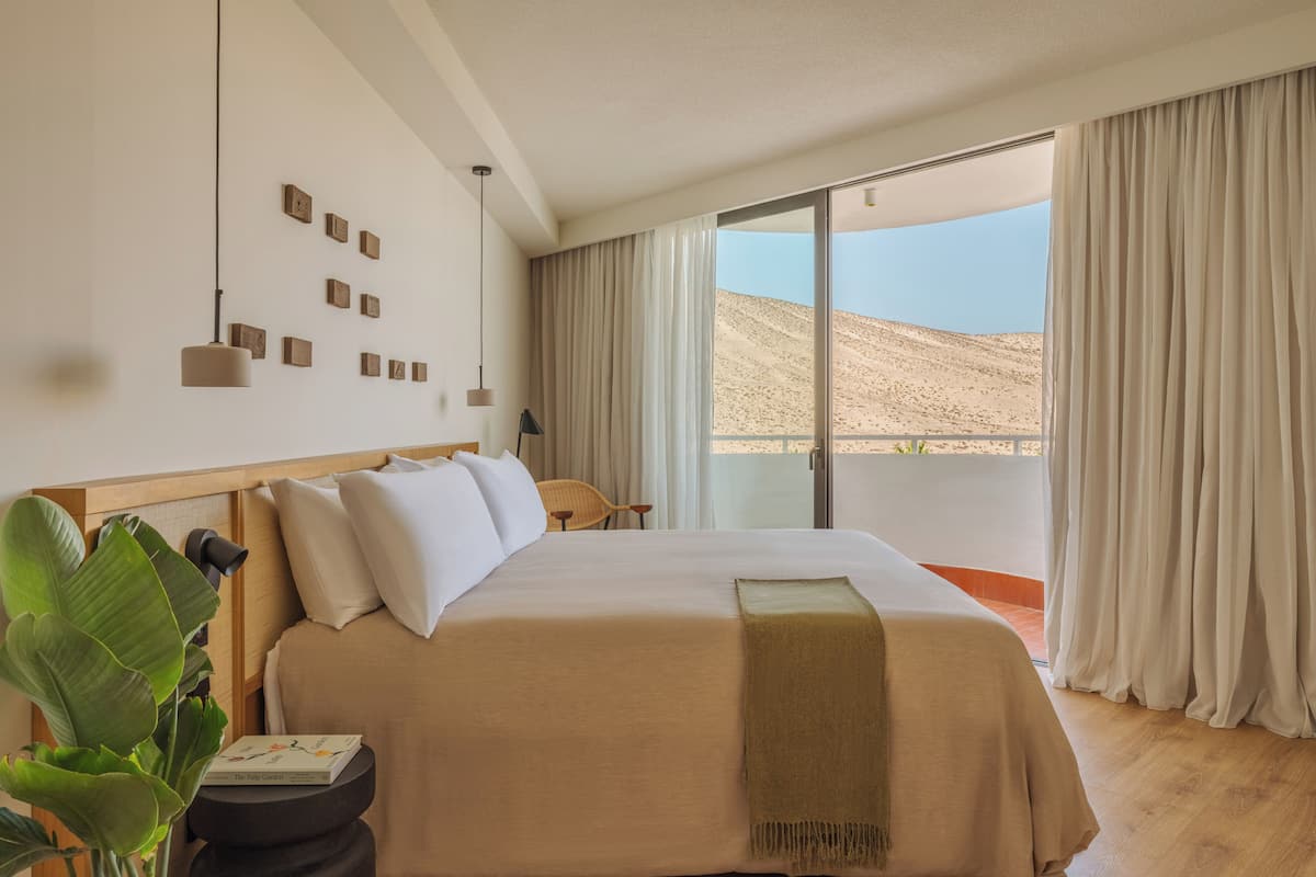 A hotel room with a large bed, a view of the desert, and a plant on the side table.