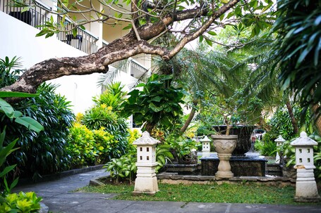 Vista desde la habitación