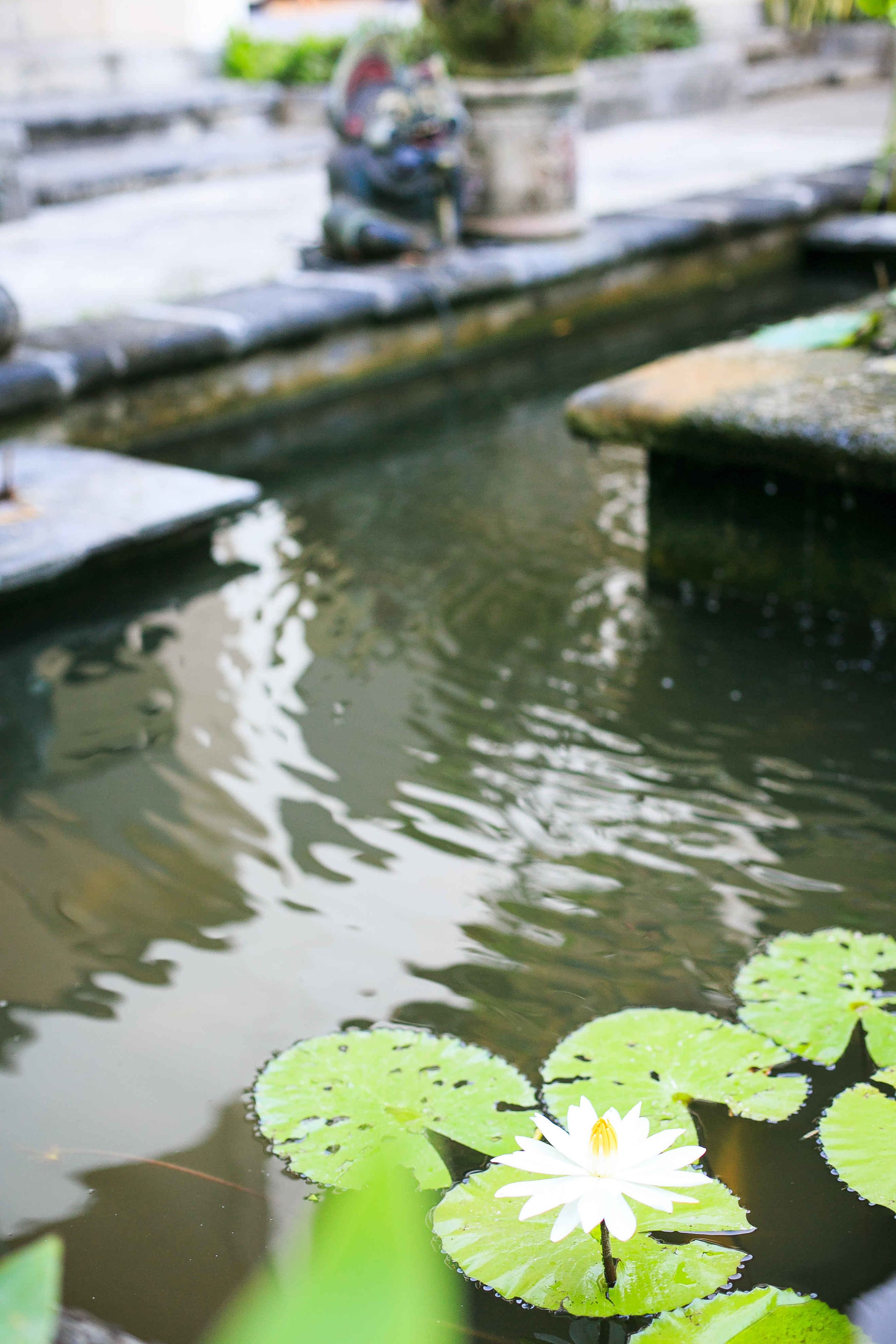 Foto - Legian Paradiso Hotel