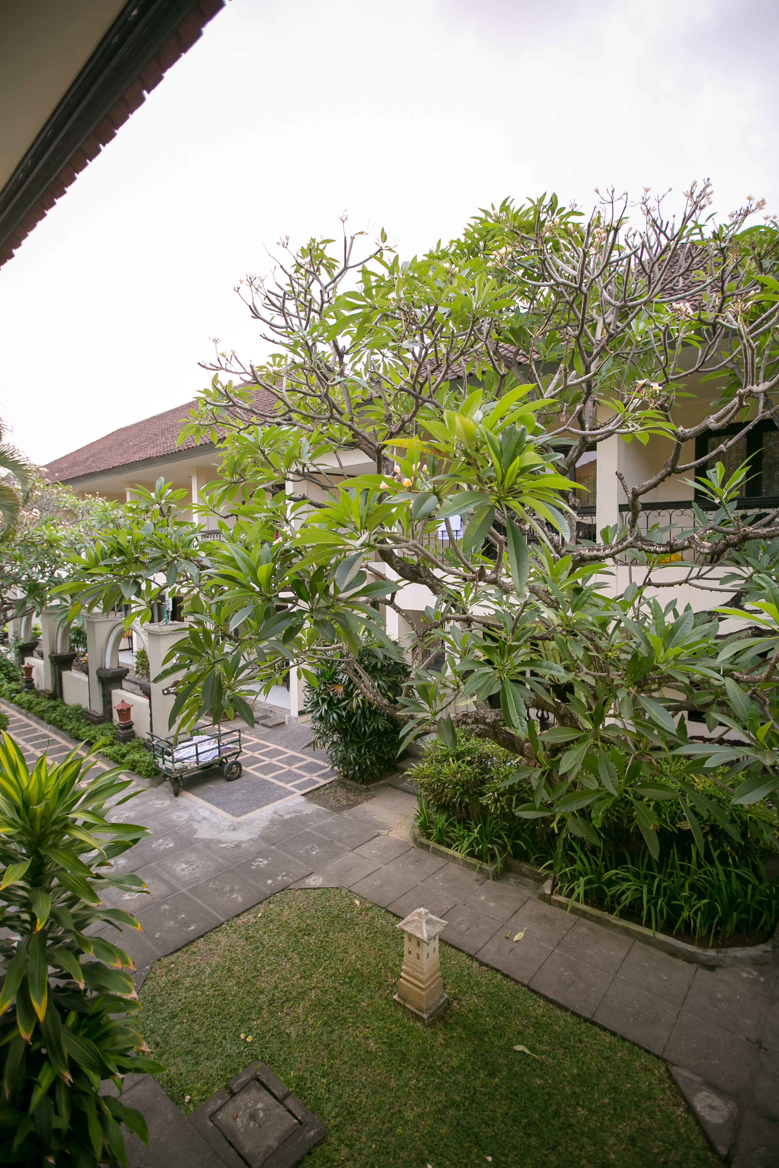 Un patio con un sendero, plantas en macetas y un pequeño jardín.
