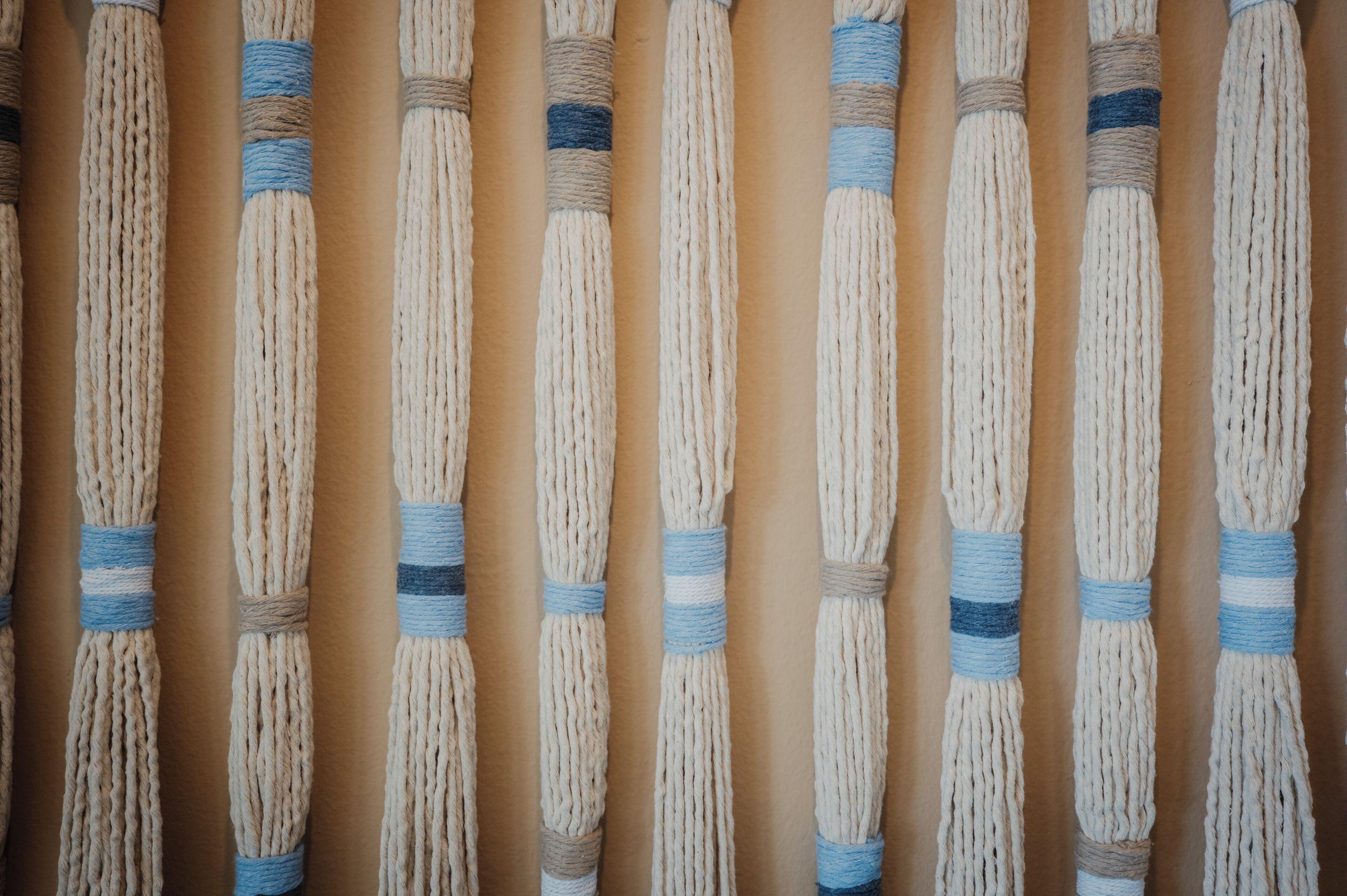 A wall with multiple vertical strands of rope.