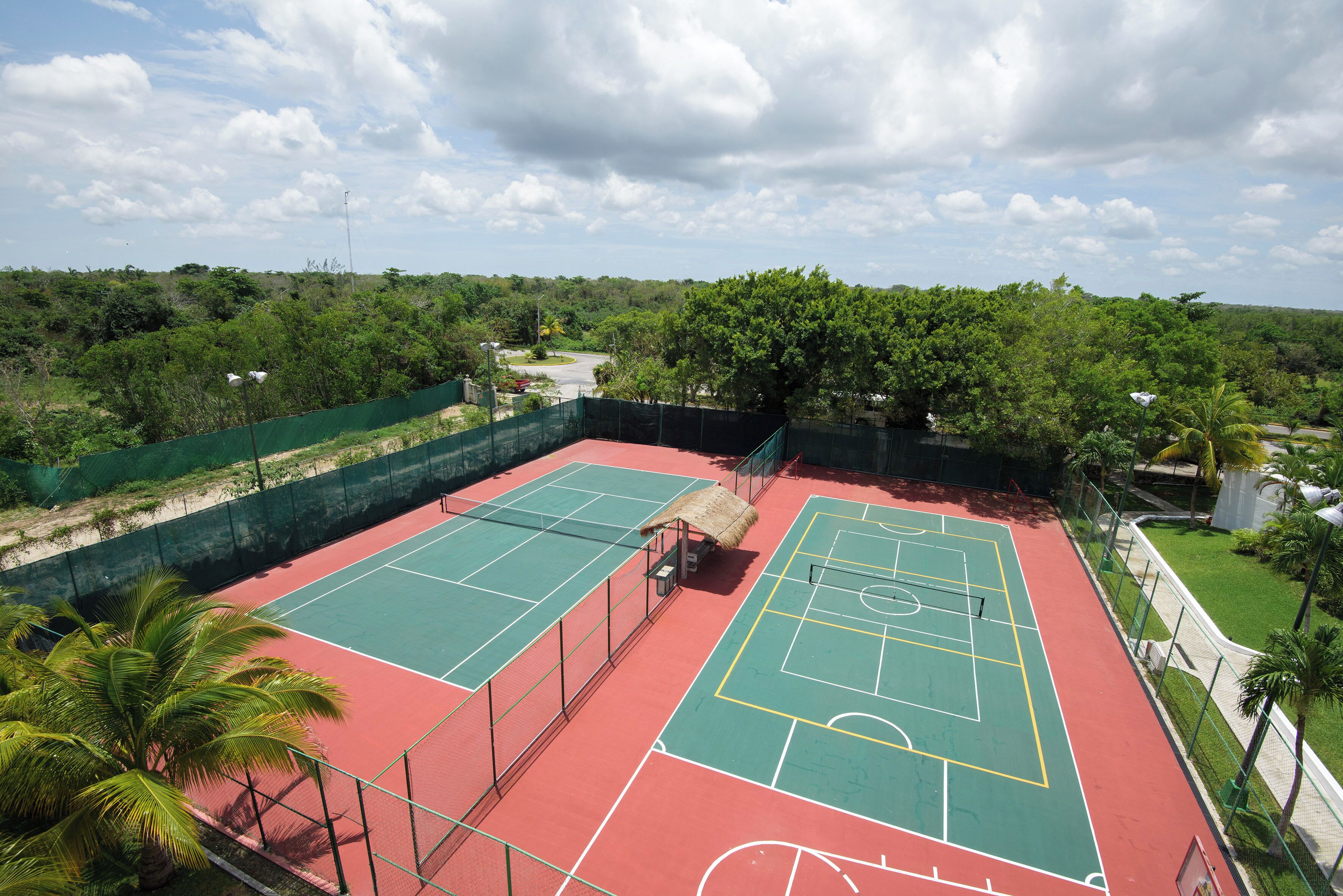 Un court de tennis avec un filet, entouré d’une clôture verte, et des palmiers à proximité.