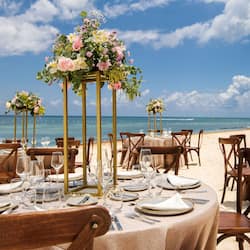 Outdoor wedding area