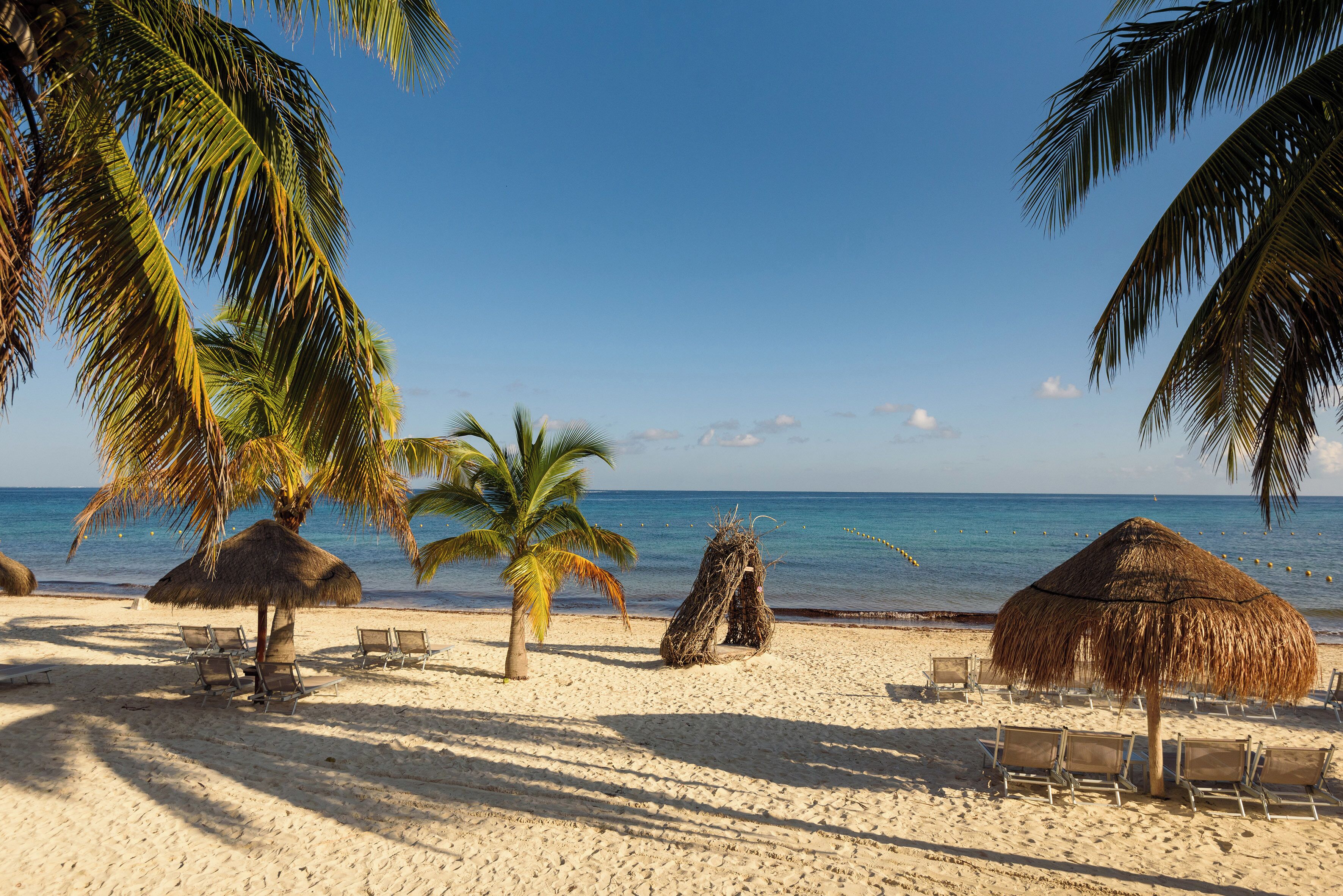 A beach with palm trees, thatched umbrellas, and beach chairs.