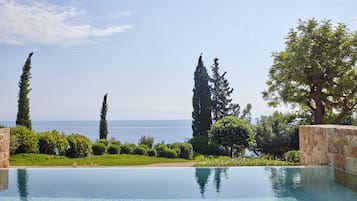 A clear view of an infinity pool with a backdrop of the sea and tall trees.
