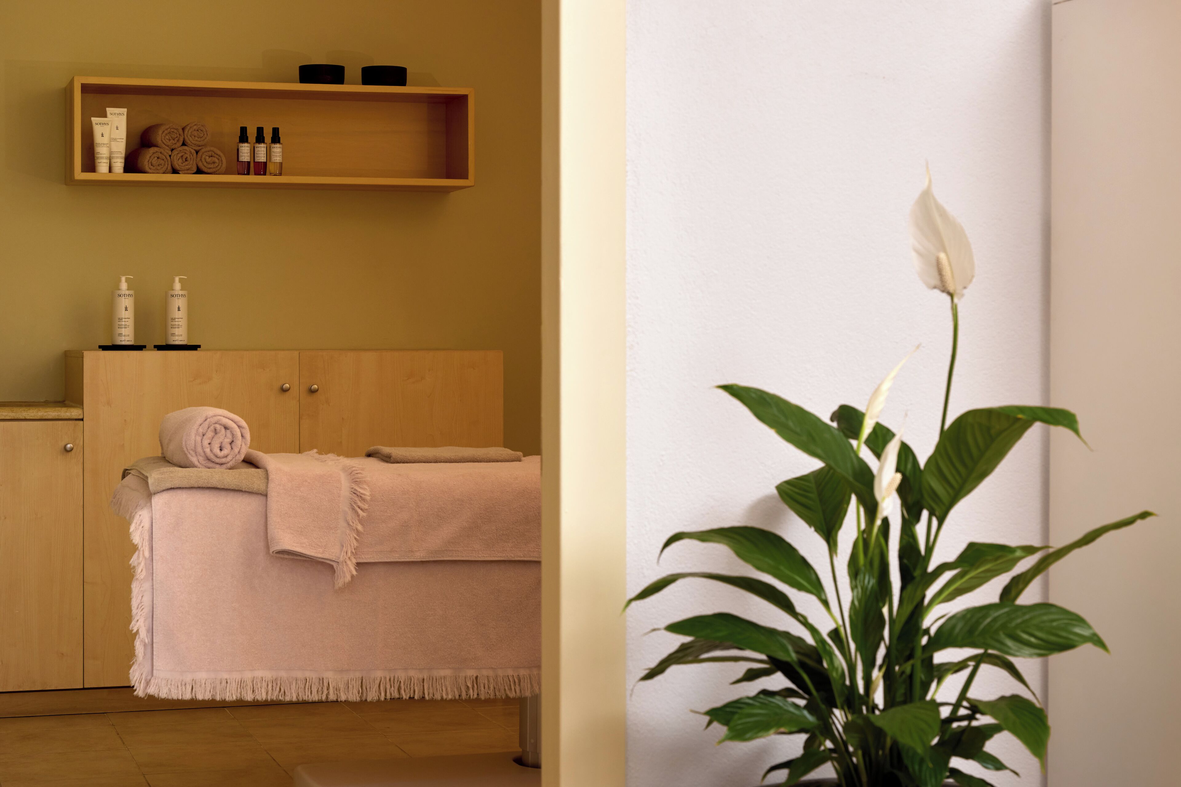 Habitación de hotel con una cama de madera, estante con artículos de aseo y una planta en maceta.