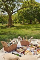 Ein Picknick mit kariertem Tuch, Korbflechskörben und einer Auswahl an Speisen und Getränken.