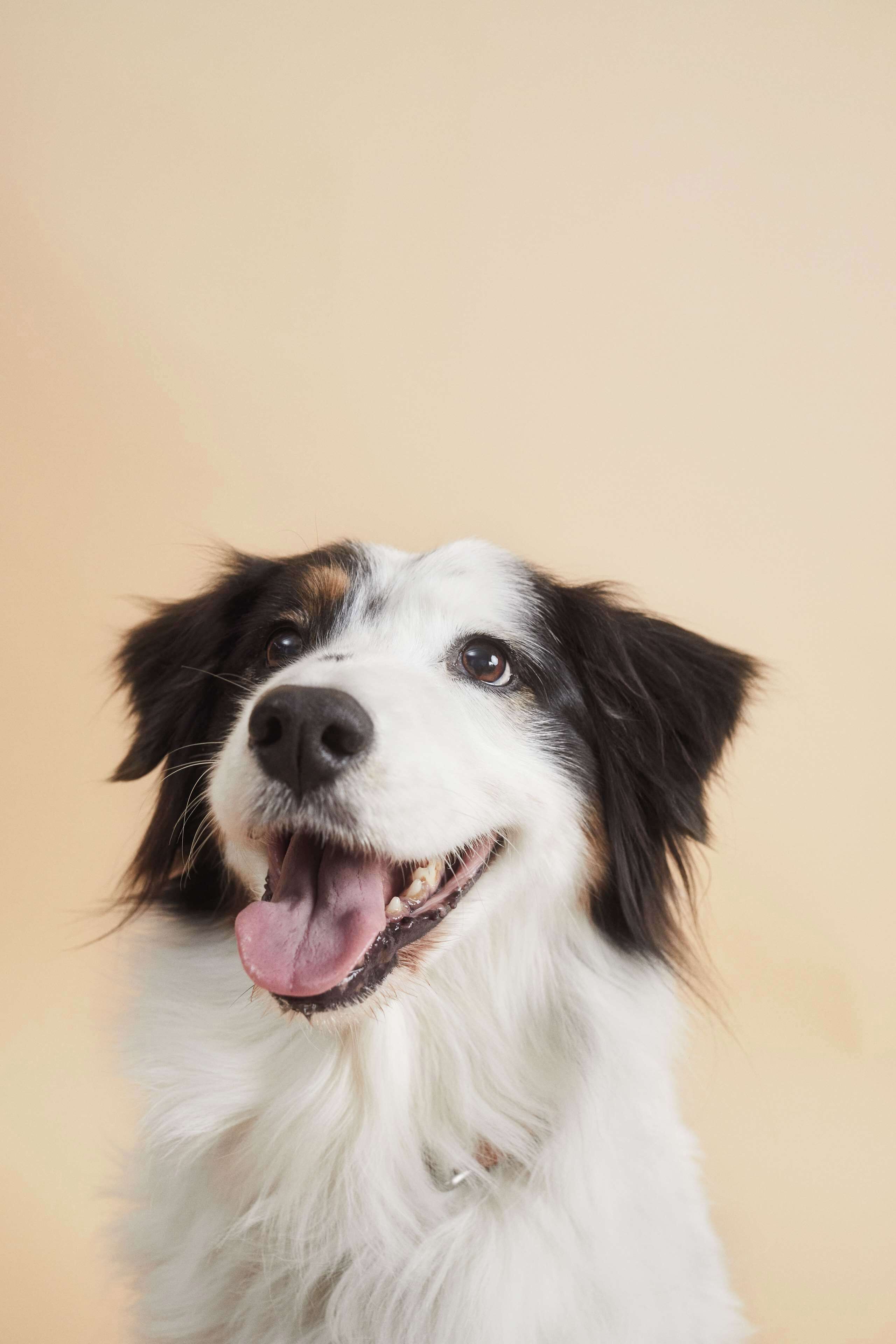 Foto - Hotel Münster Kongresscenter affiliated by Meliá