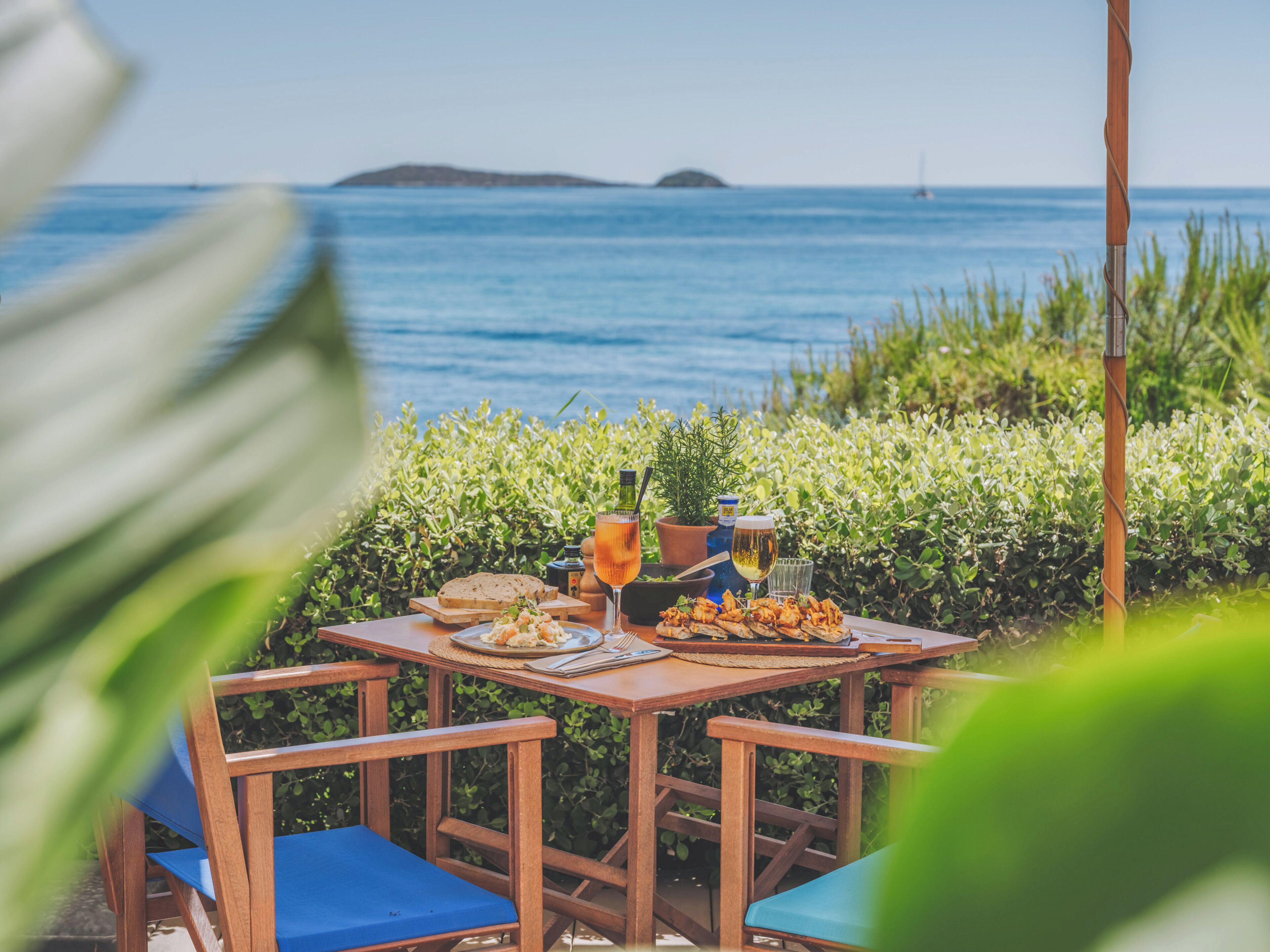 Una mesa de madera con vista al mar, una planta en maceta y un vaso de bebida.