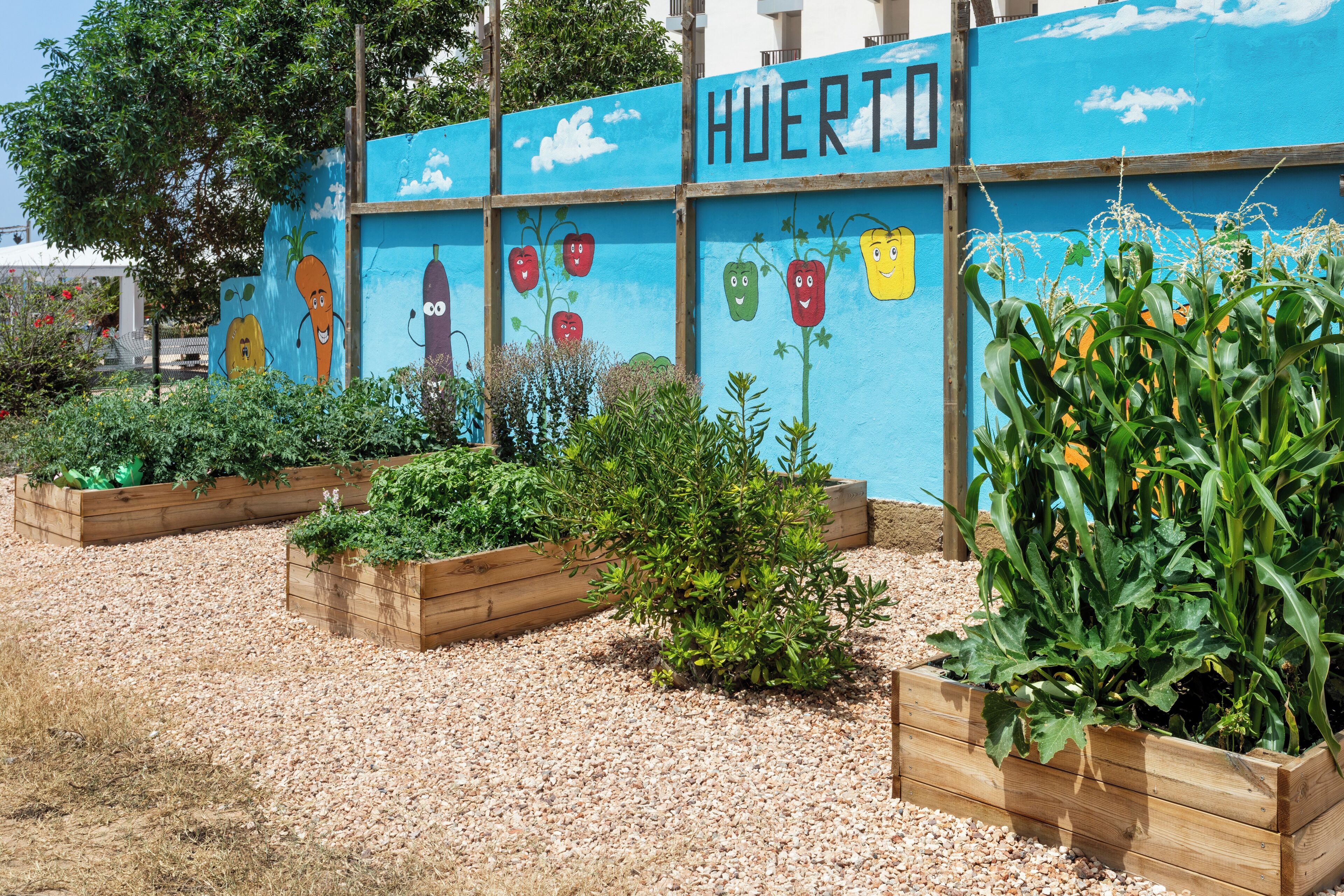 Photo - Sol Milanos Pingüinos