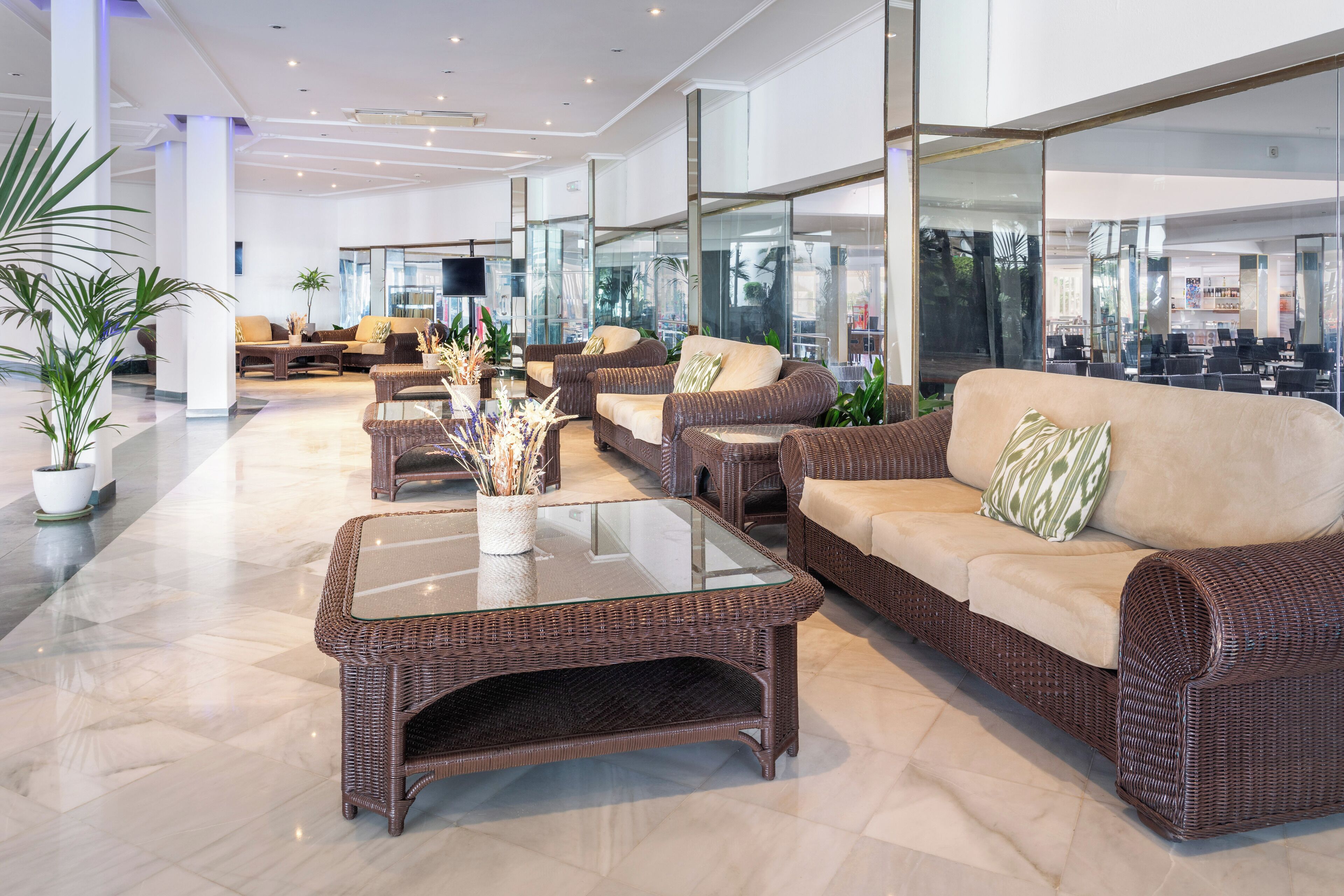 Photo - Sol Milanos Pingüinos