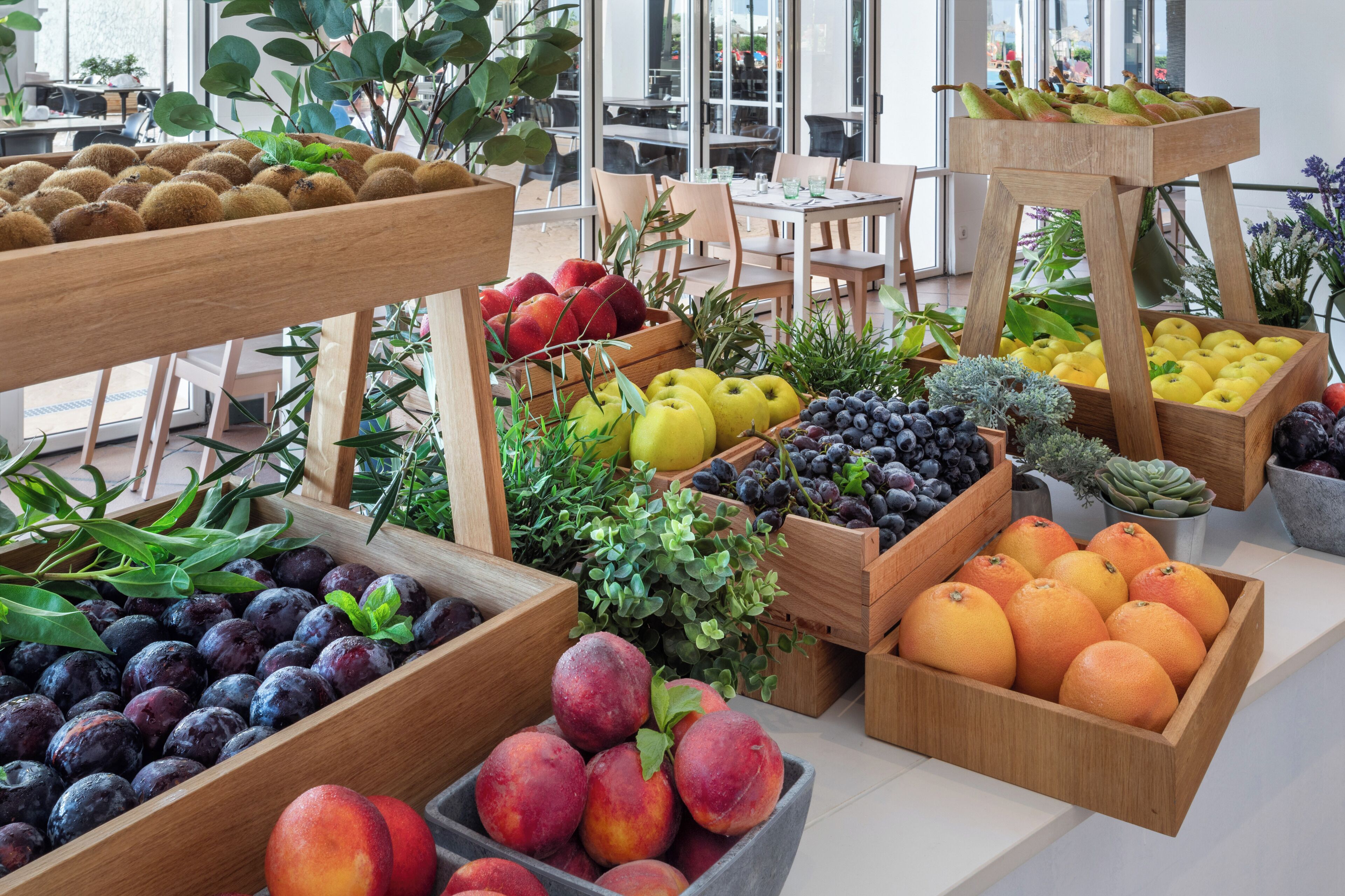 Photo - Sol Milanos Pingüinos