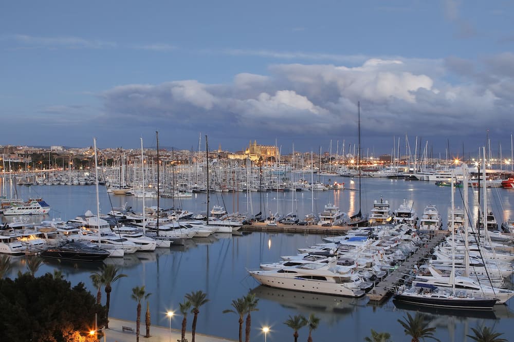 Melia Palma Marina