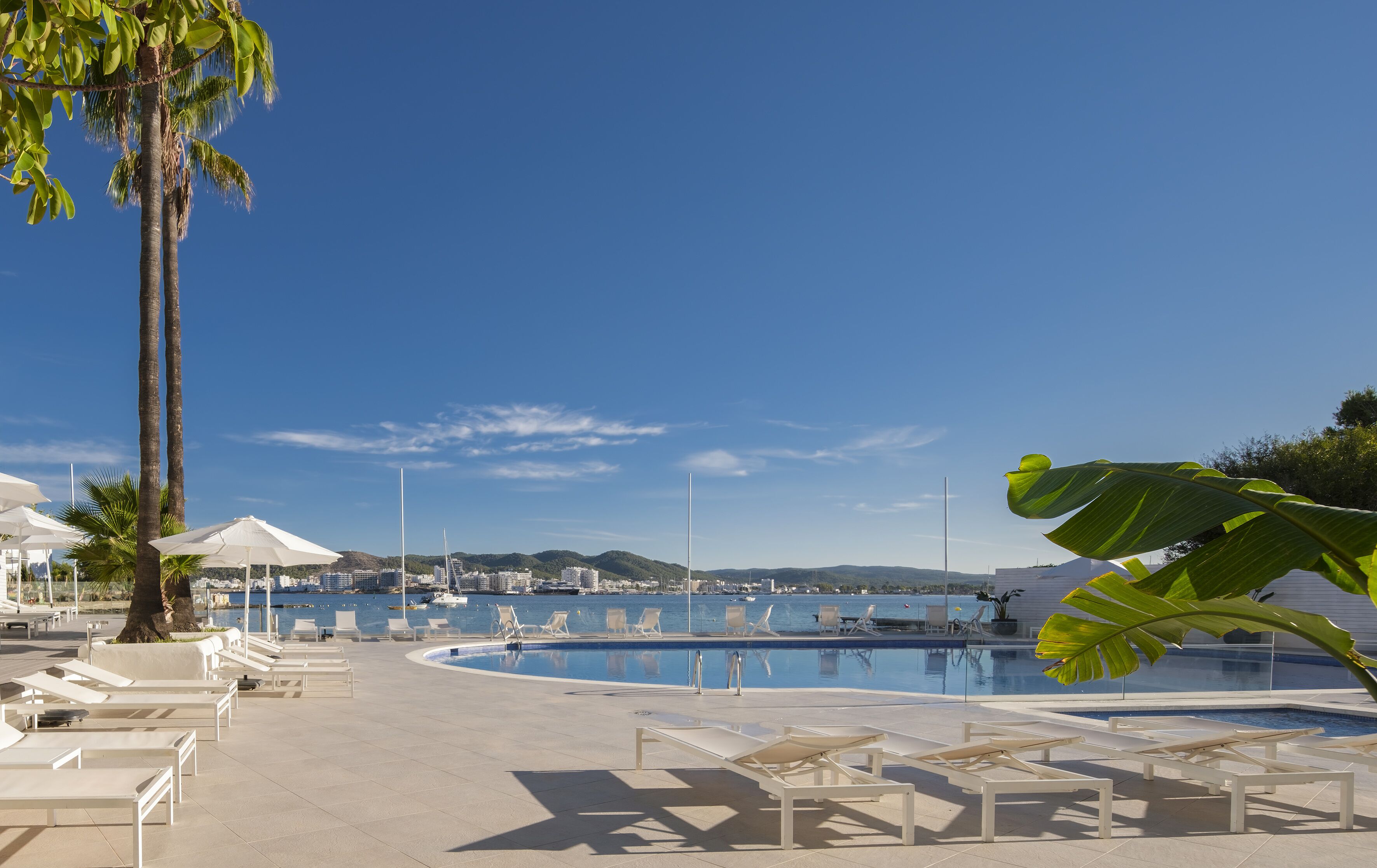 A poolside area with sun loungers, a palm tree, and a view of the sea and buildings in the background.