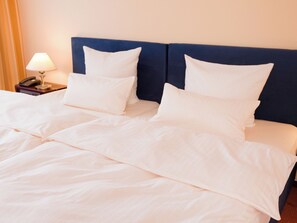 Standard Double Room (partly Basel or mountain view)