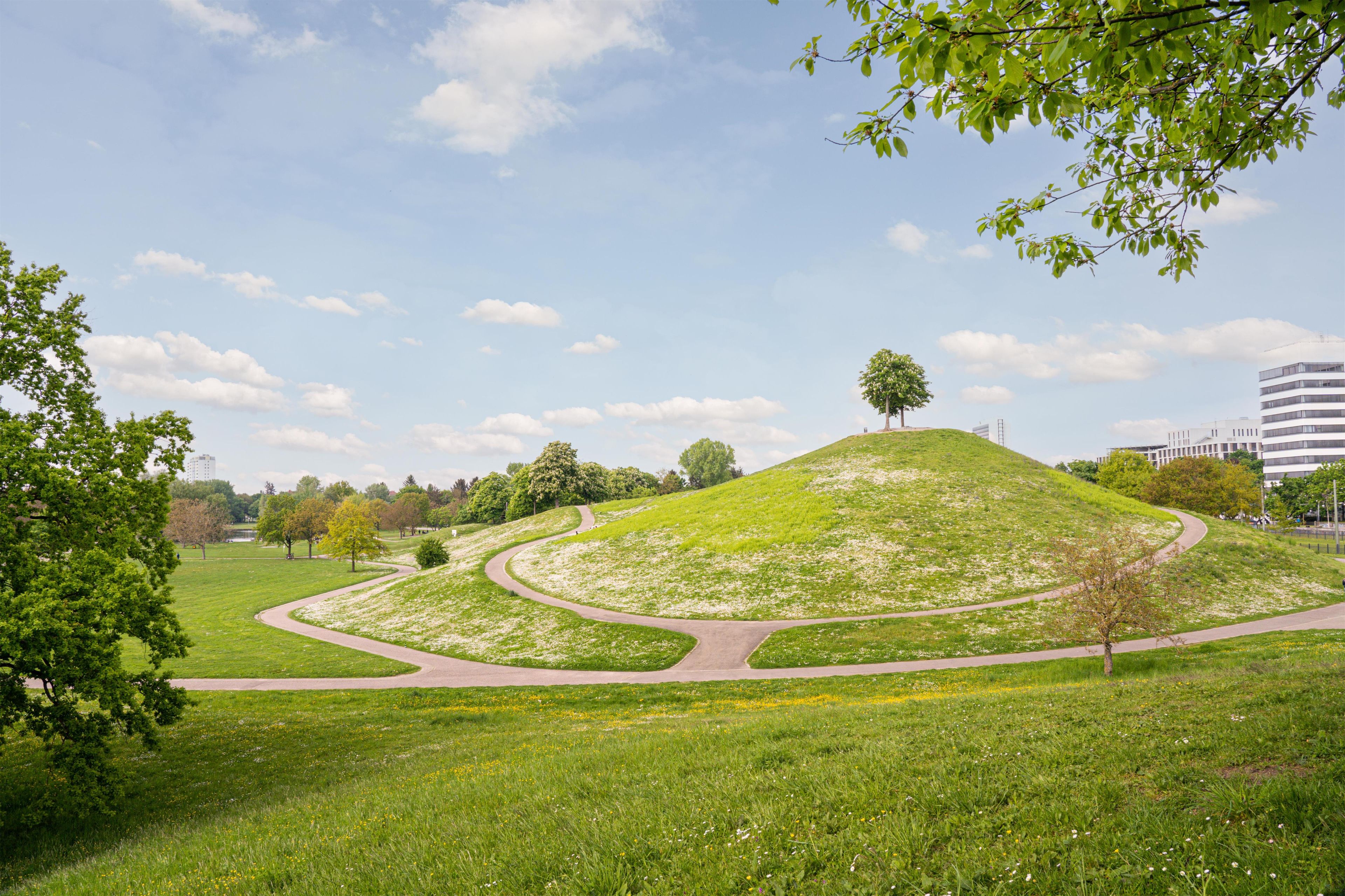 Ein Park mit einer grasbewachsenen Hügellandschaft, gewundenen Pfaden und einigen Bäumen.