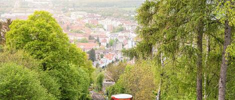 A yellow train on a track surrounded by lush greenery and a cityscape in the background.