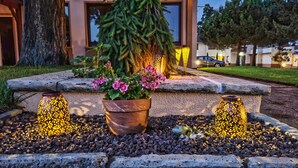 A landscaped area with a potted plant, decorative lights, and a stone bench. - Hotel Tenner (Neustadt an der Weinstrasse)