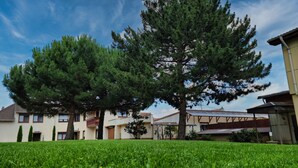 A residential area with two large pine trees in the foreground, a well-maintained lawn, and houses with visible balconies and windows. - Hotel Tenner (Neustadt an der Weinstrasse)