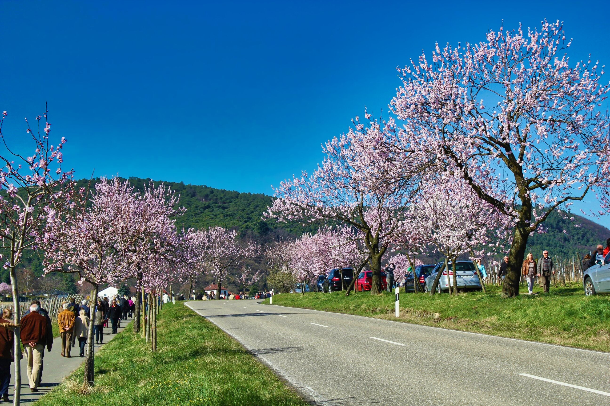 land view from property