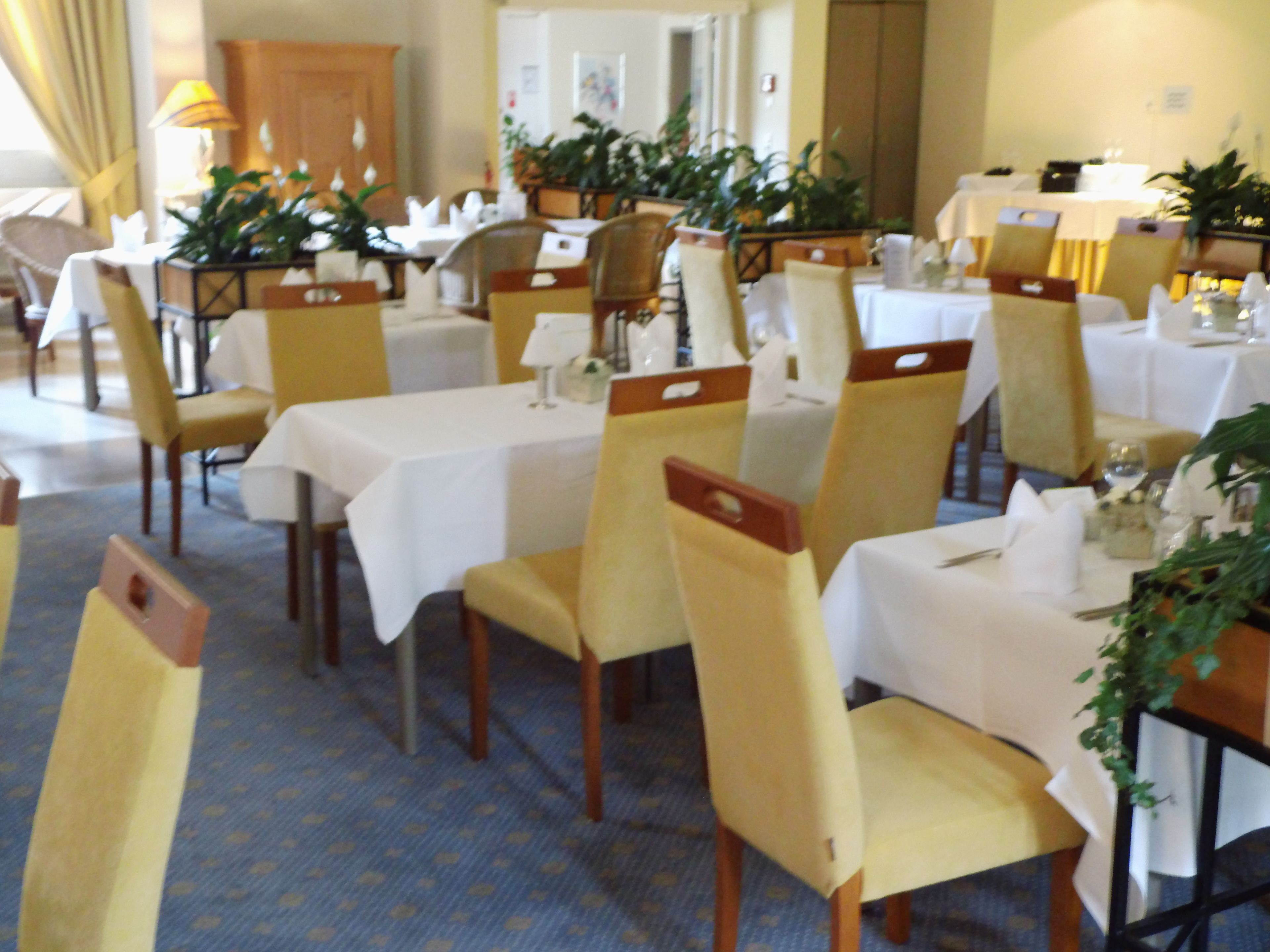 A dining area with tables set for service, chairs with headrests, and potted plants.