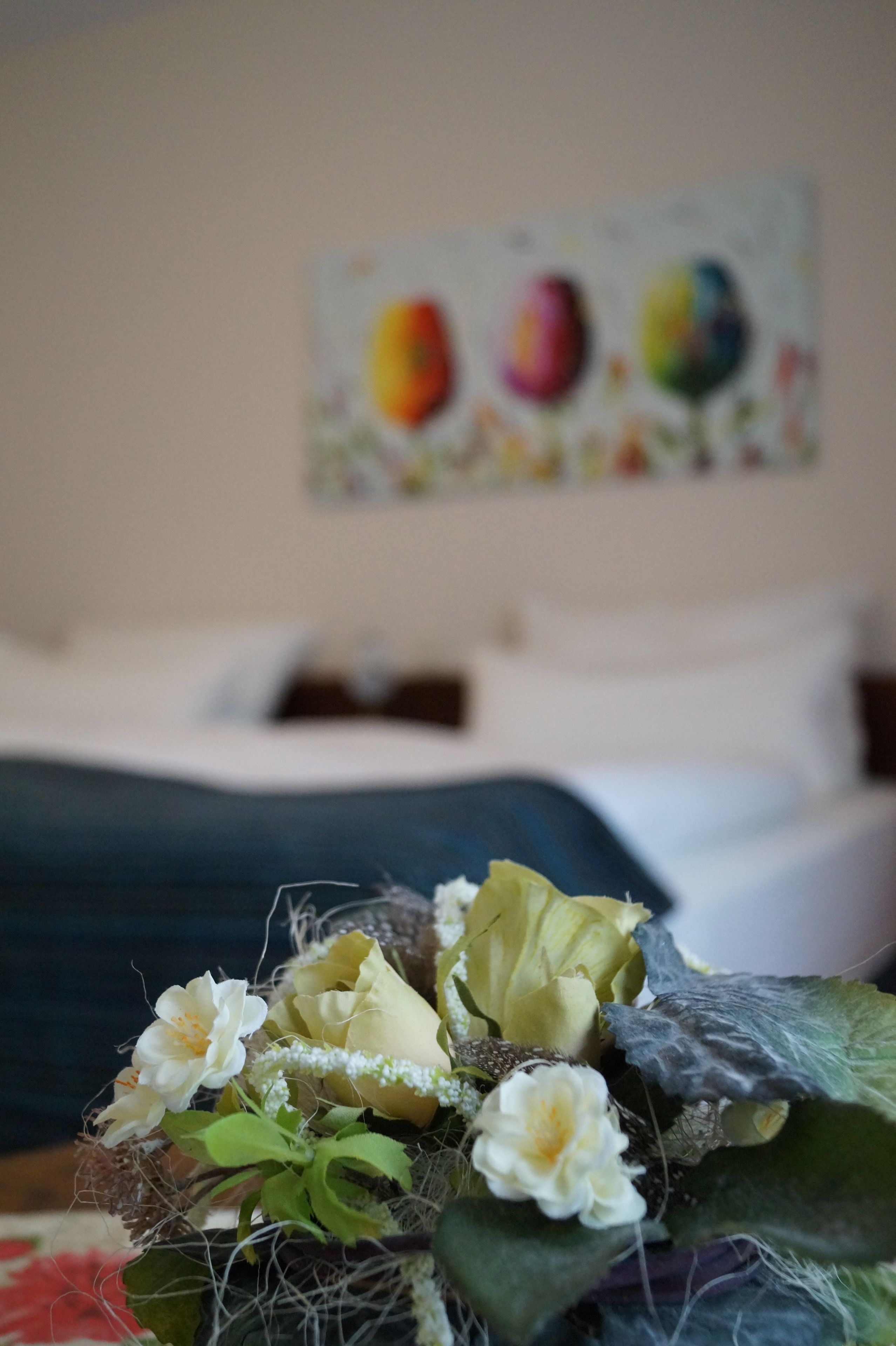 Ein Kaktus blüht in Großaufnahme, im Hintergrund ein Bett.