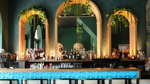 A bar area with a counter, multiple bottles, glasses, and hanging plants. - Seehotel zur Post (Tegernsee)