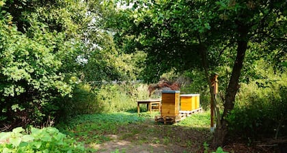 Hotel Am Tierpark