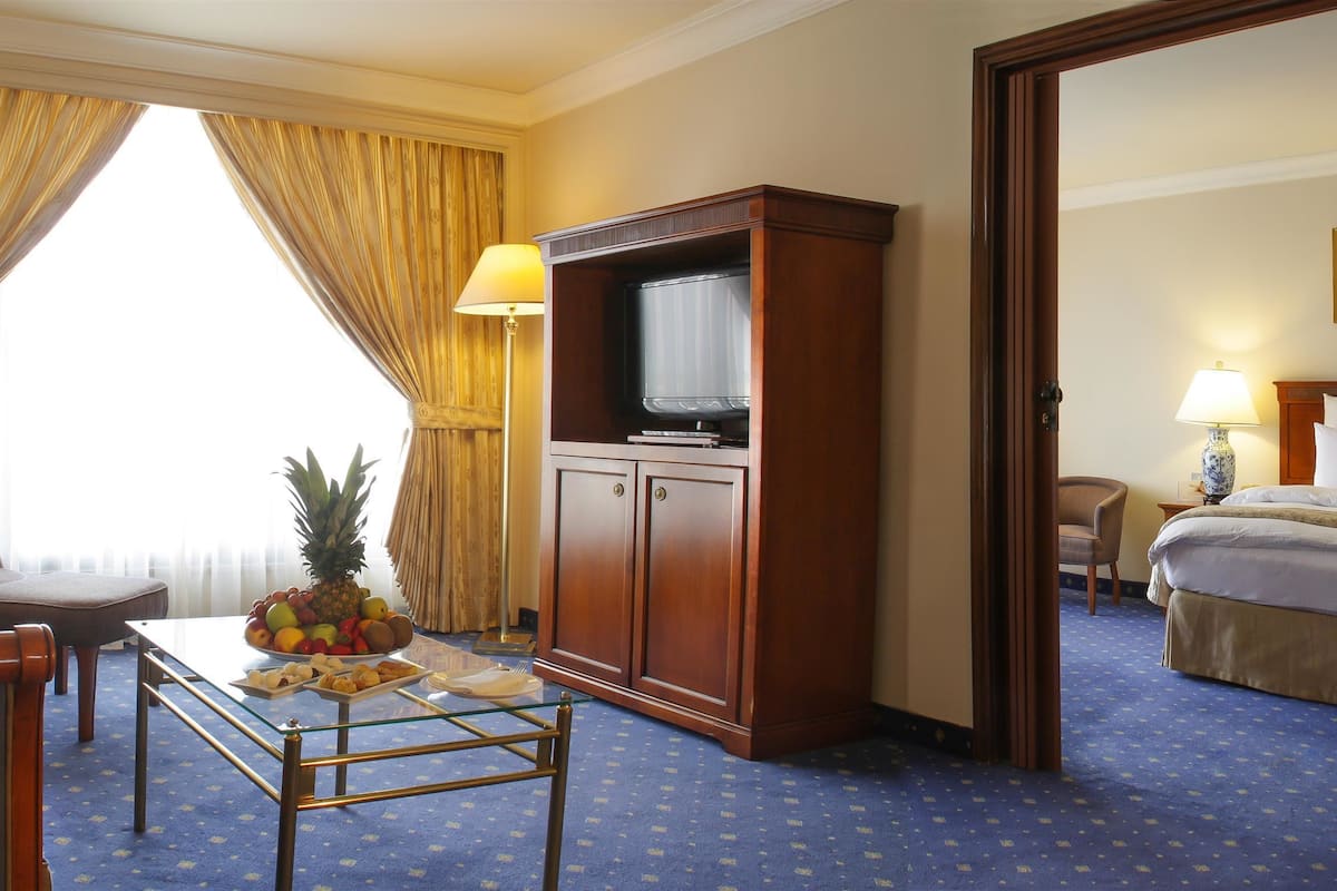 Suite ejecutiva | Minibar, caja de seguridad en la habitación y insonorización