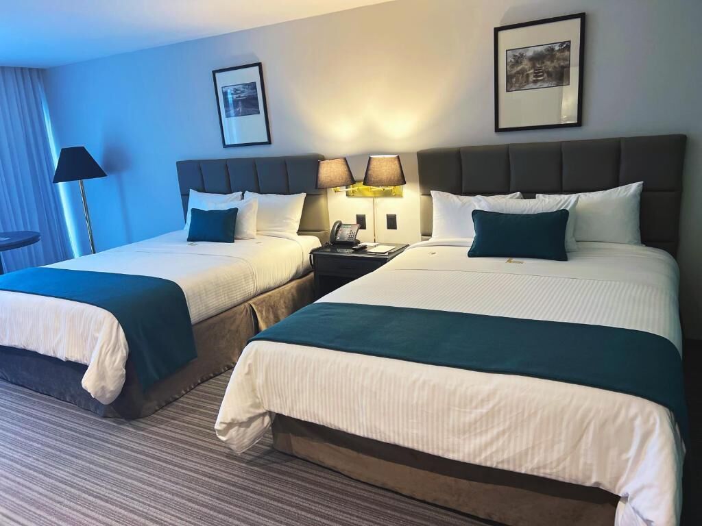 Sábanas de algodón egipcio, ropa de cama de alta calidad y cubrecamas 