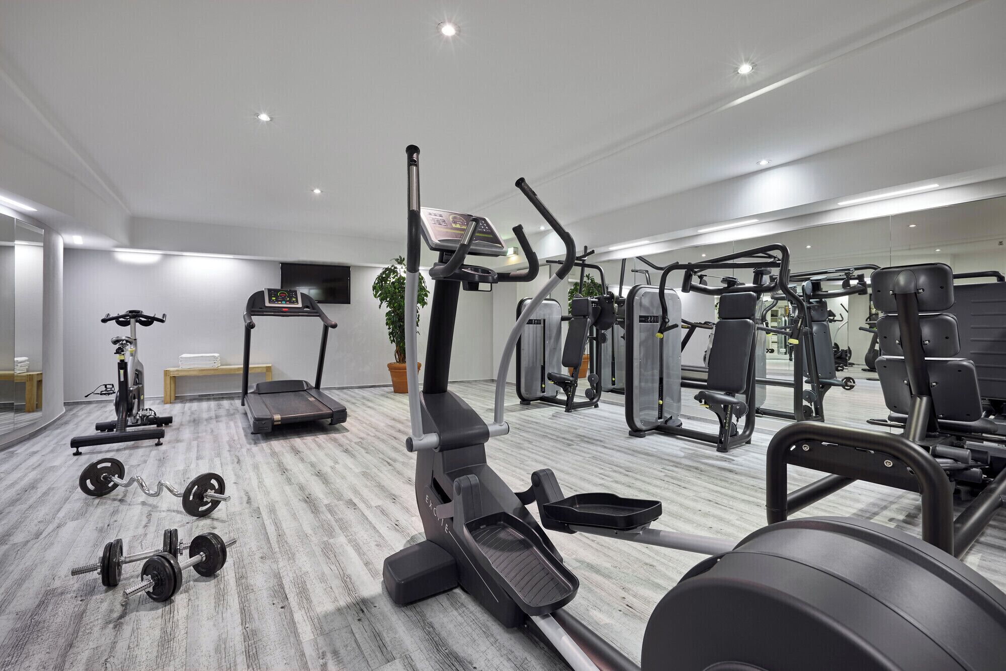 A modern gym with treadmills, weight machines, and free weights.