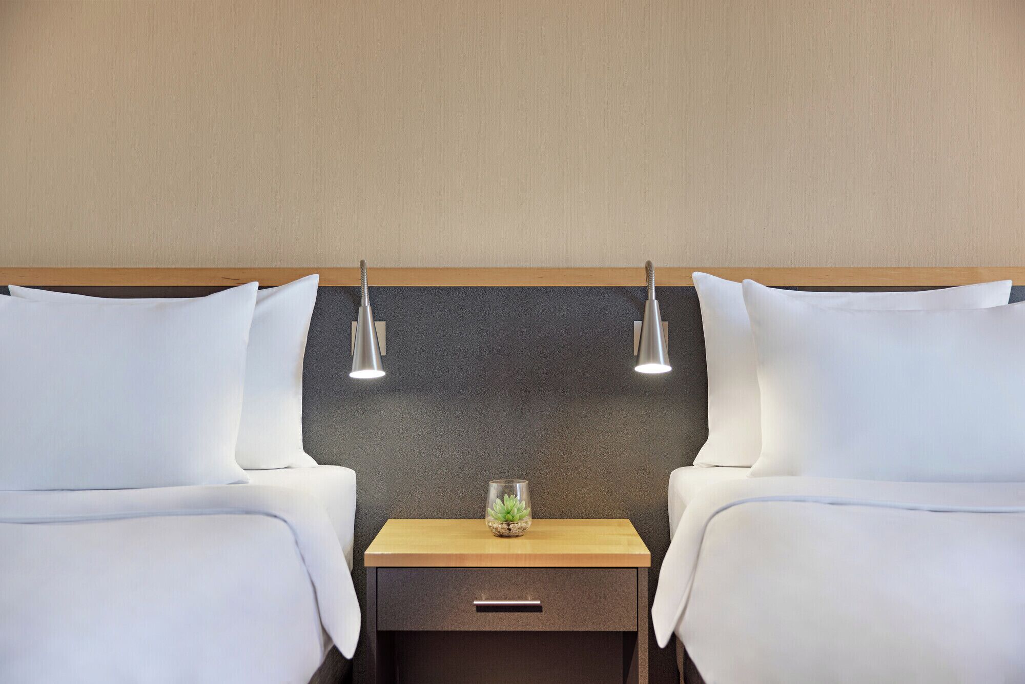 Una habitación de hotel con dos camas, una mesita de noche con lámpara y una planta pequeña.