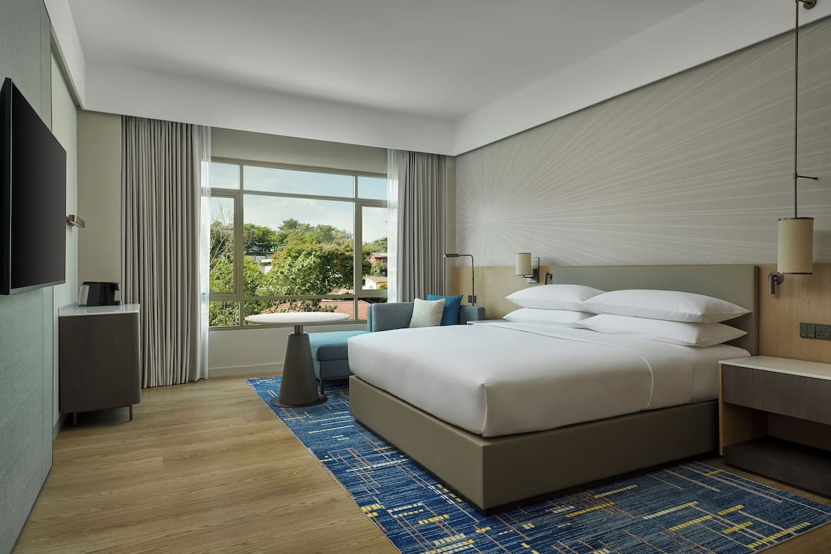Deluxe Room, 1 King Bed, City View | Premium bedding, in-room safe, individually decorated