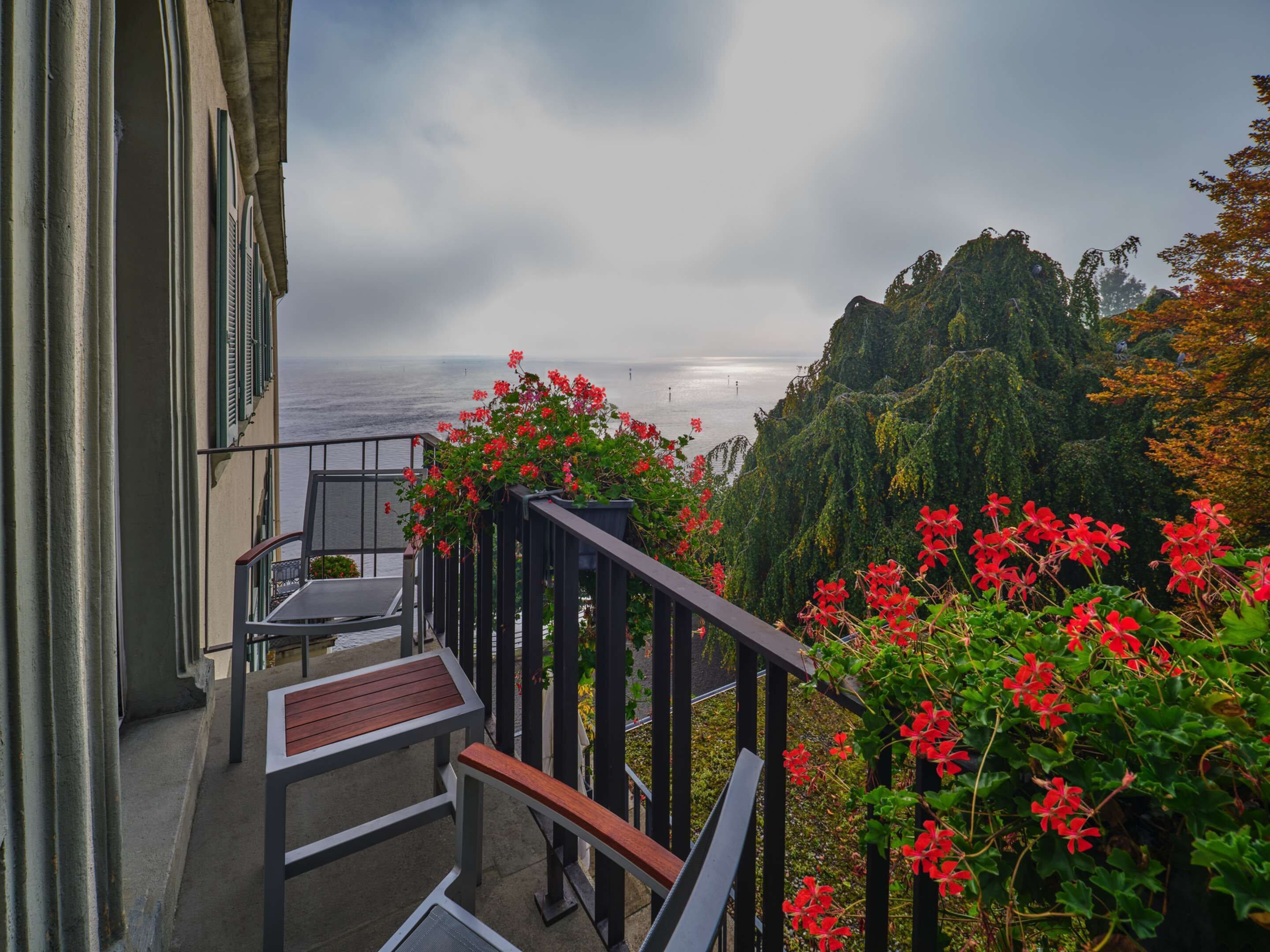Uma varanda com vista para o oceano, um banco de madeira e flores vermelhas.