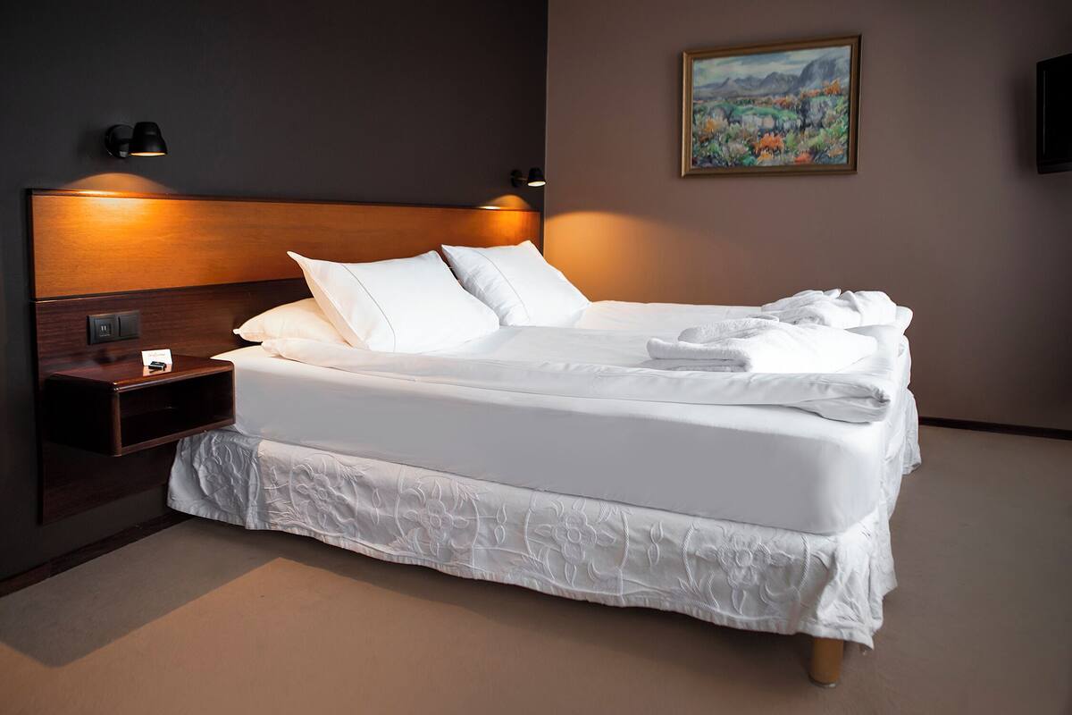 Hypoallergeen beddengoed, een minibar, een bureau, een laptopwerkplek