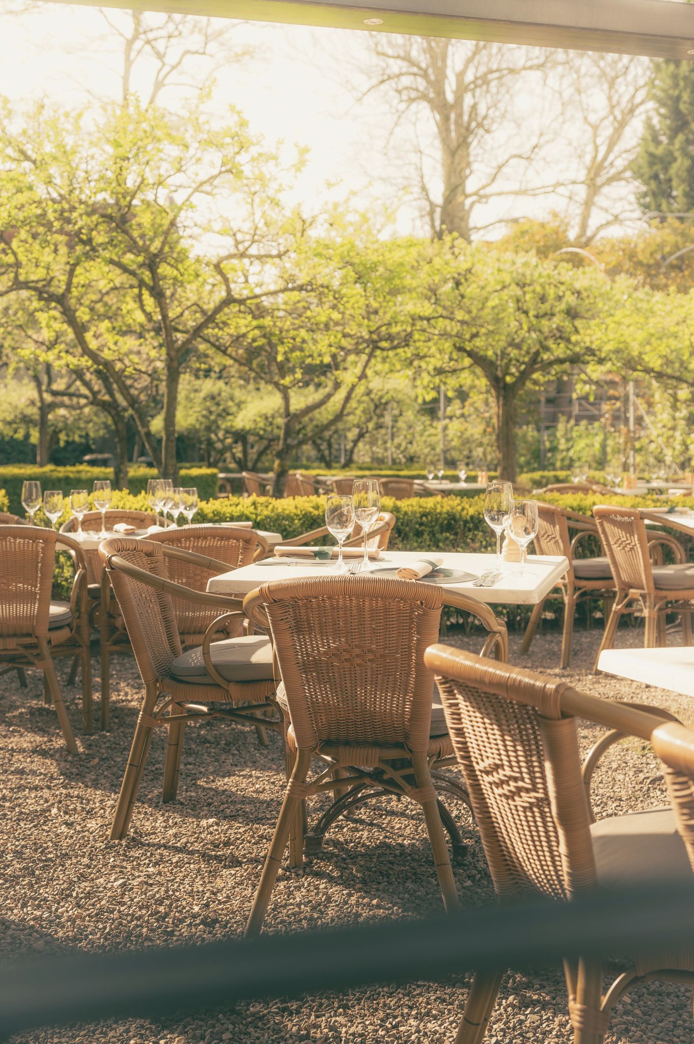 Un espace extérieur aménagé pour les repas, avec des chaises et des tables en osier, entouré de verdure et d’arbres.