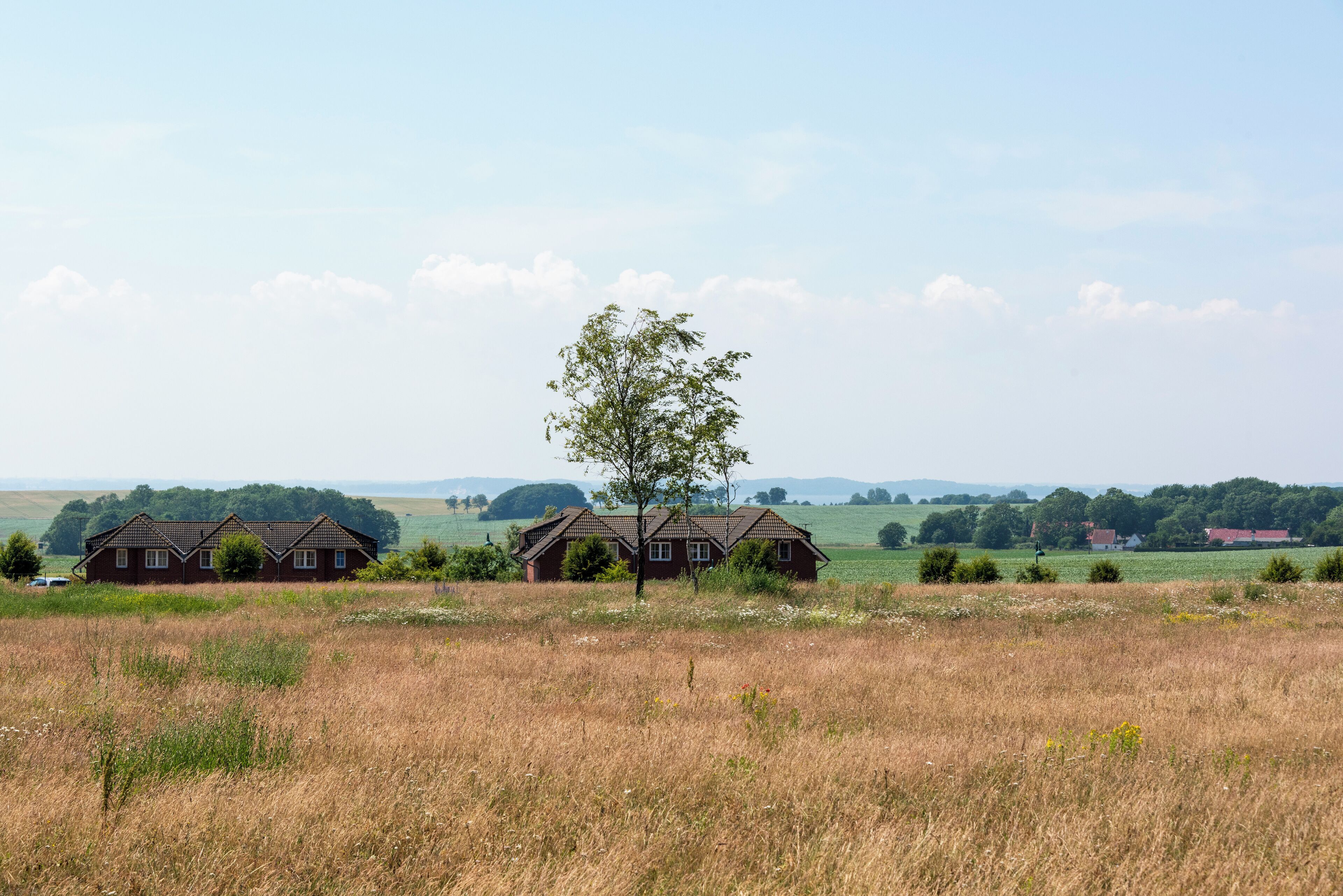 A rural landscape with three houses and a tree in the foreground.