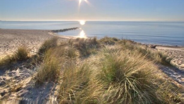 A beach with sand dunes and a clear sky. - IntercityHotel Stralsund (Stralsund)