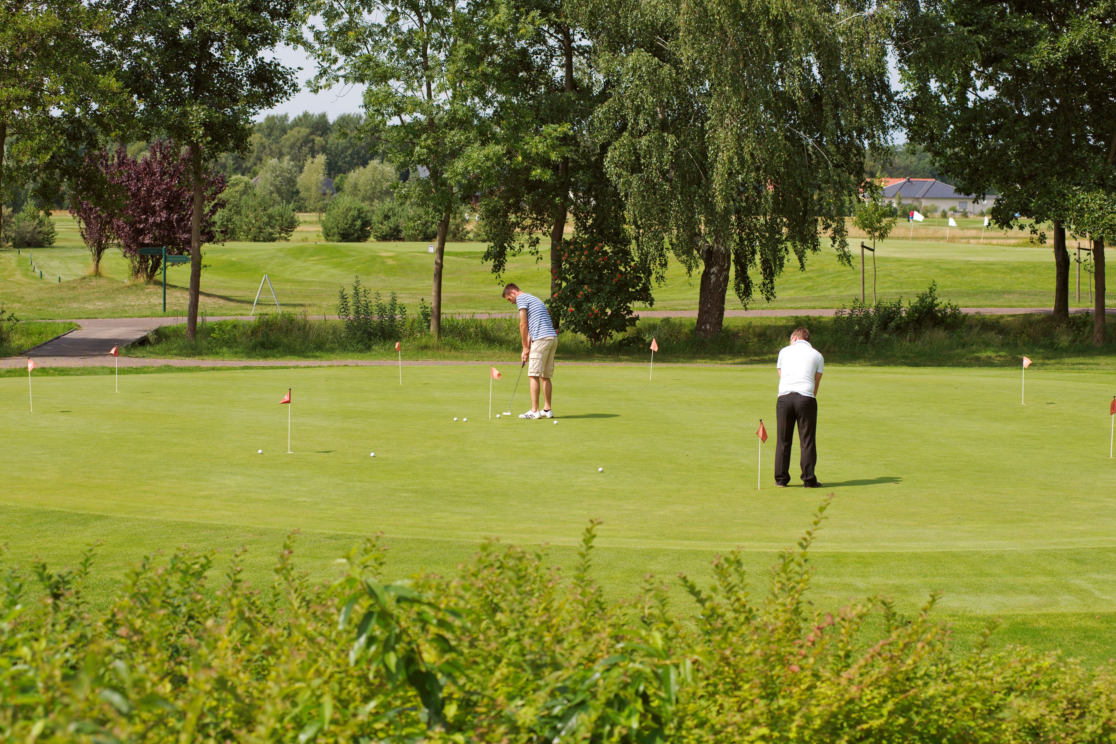 A golf course with a putting green, trees, and a distant building.