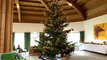 Een ruime kamer met een grote kerstboom, versierd met lichtjes en versieringen, omringd door ingepakte cadeaus.